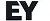 Company 6